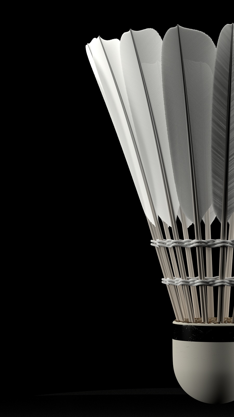 们树立了一 们树立了一